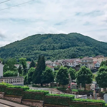 Апартаменты Tres Beau 3 Pieces Jusqu'a 6 Voyageurs - El Paradisio Лурд